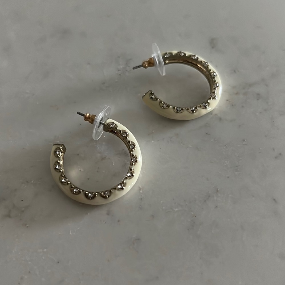 Stella & Dot retired hoop earring